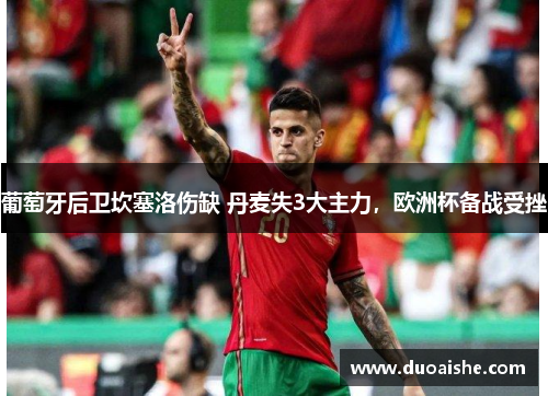 葡萄牙后卫坎塞洛伤缺 丹麦失3大主力，欧洲杯备战受挫